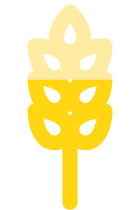 wysokość rośliny