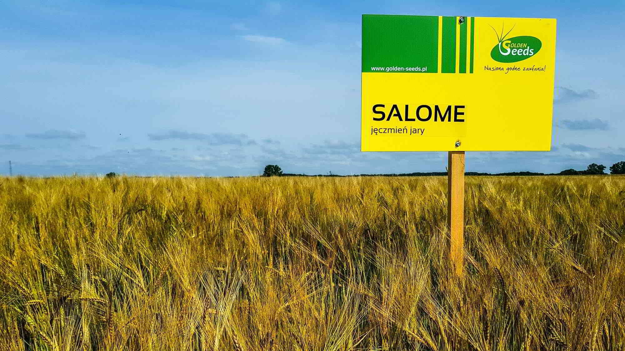 jęczmień salome - tablica informacyjna na polu